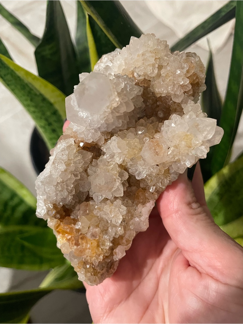 Golden spirit quartz crystal cluster from South Africa